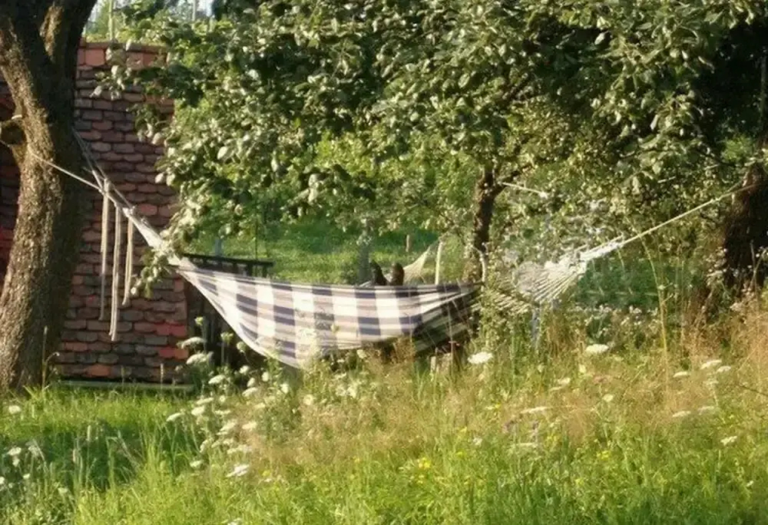 The Holler Comfortable Holiday Residence