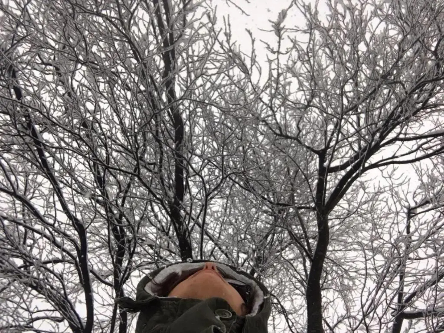 Hotel Bella Di Bosco