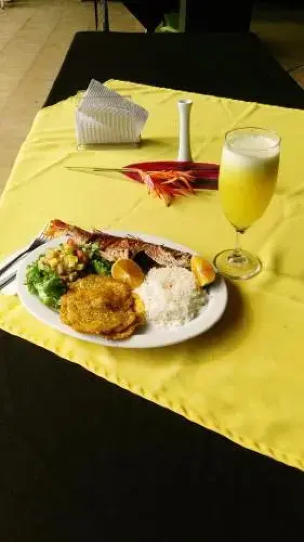 Mar y Selva Ecolodge