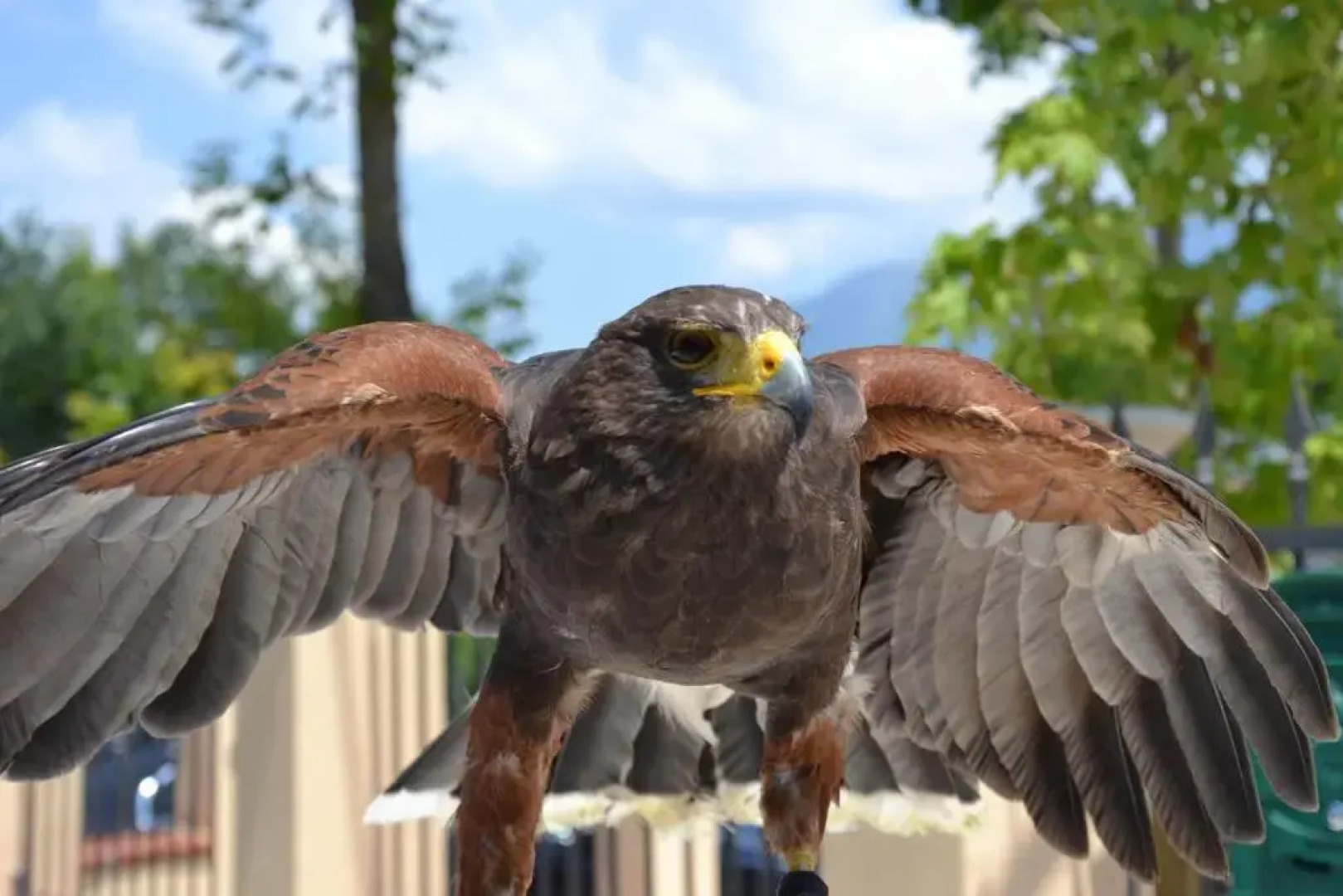 Azienda Agrituristica La Tenuta del Falco