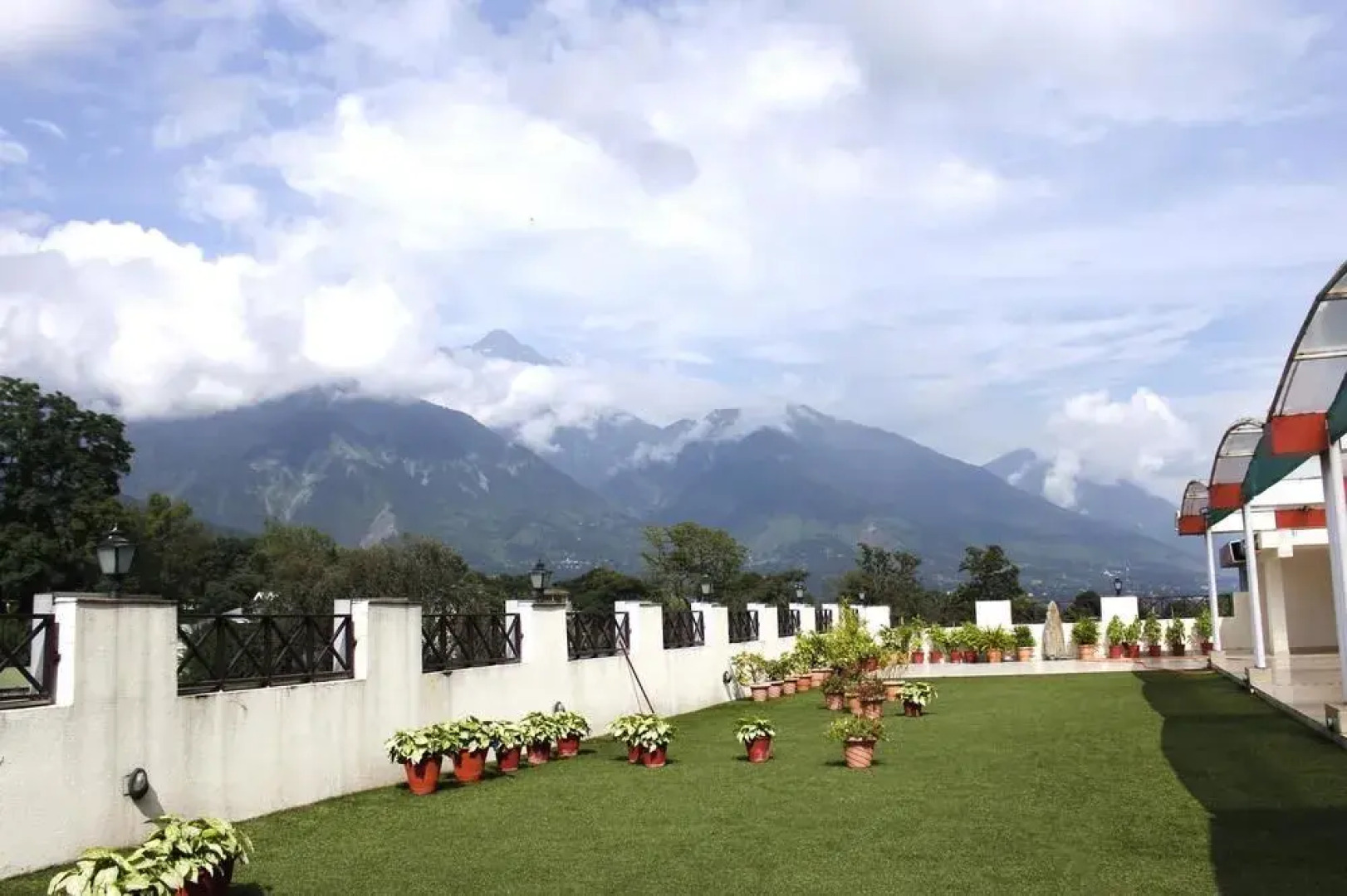 Treebo Trend GK Conifer