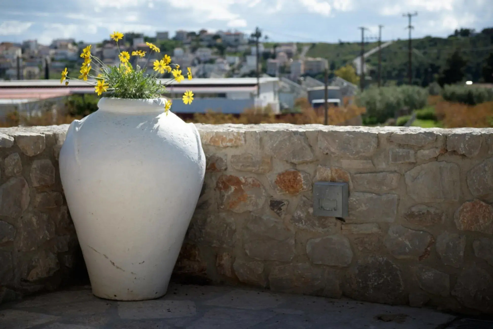 Traditional Guest House Grandma Vitsas