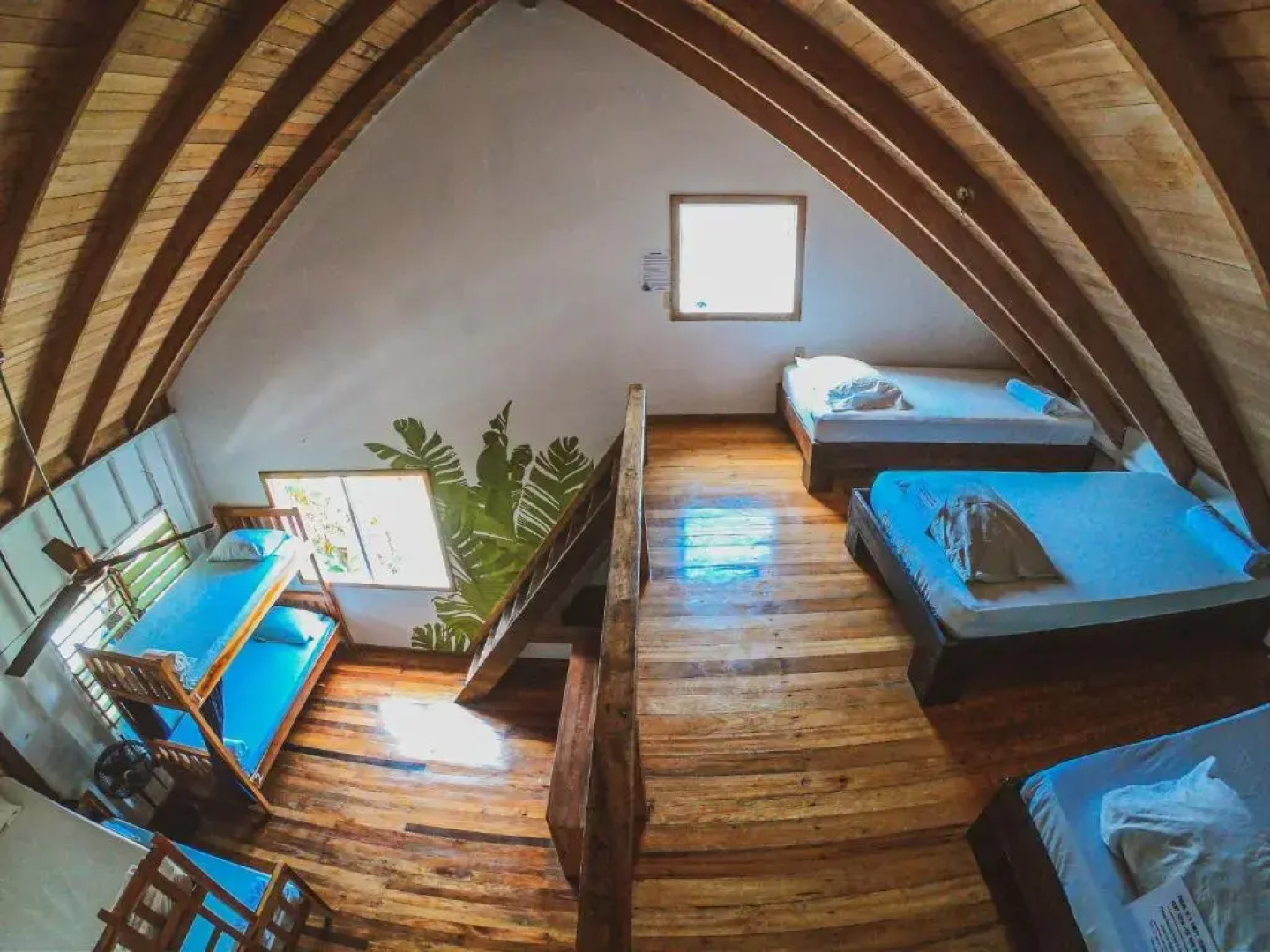 Bella's Backpackers Hostel