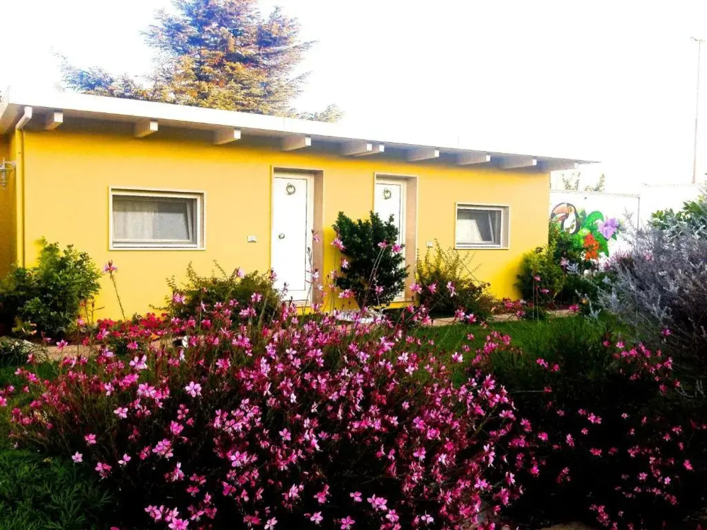La Casa Particular