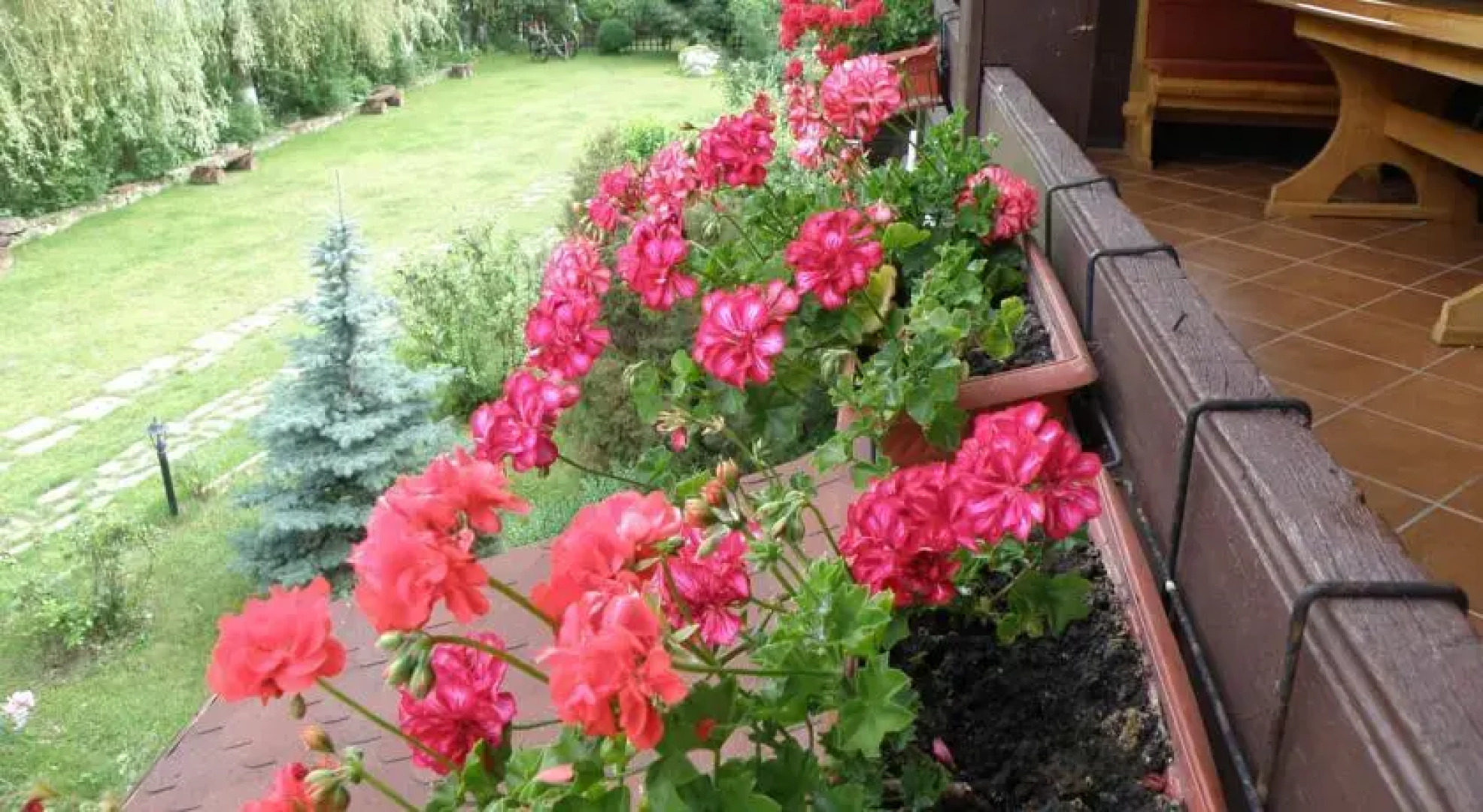 Pensiunea Dumbravita