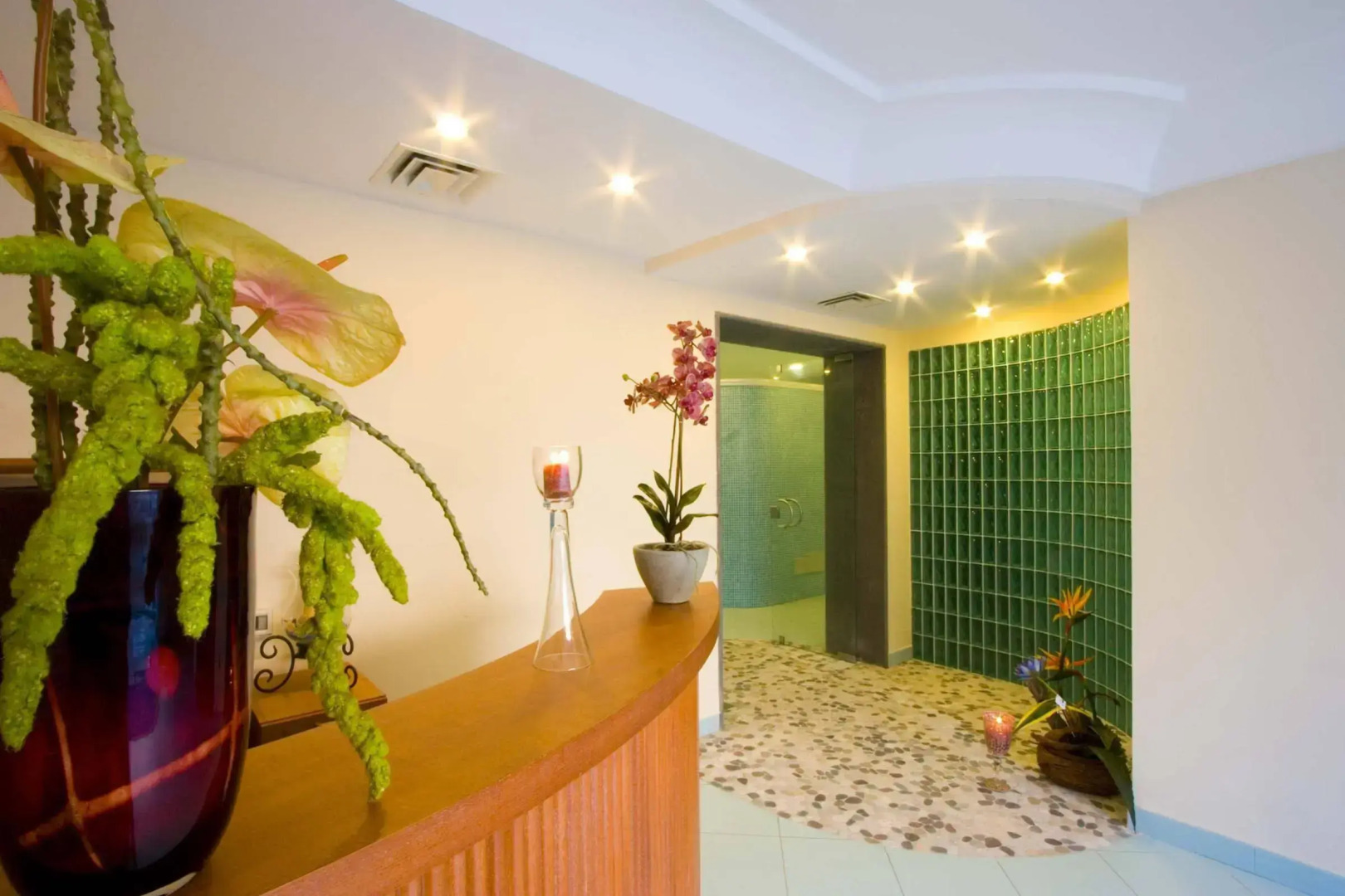 Park Hotel Terme Mediterraneo