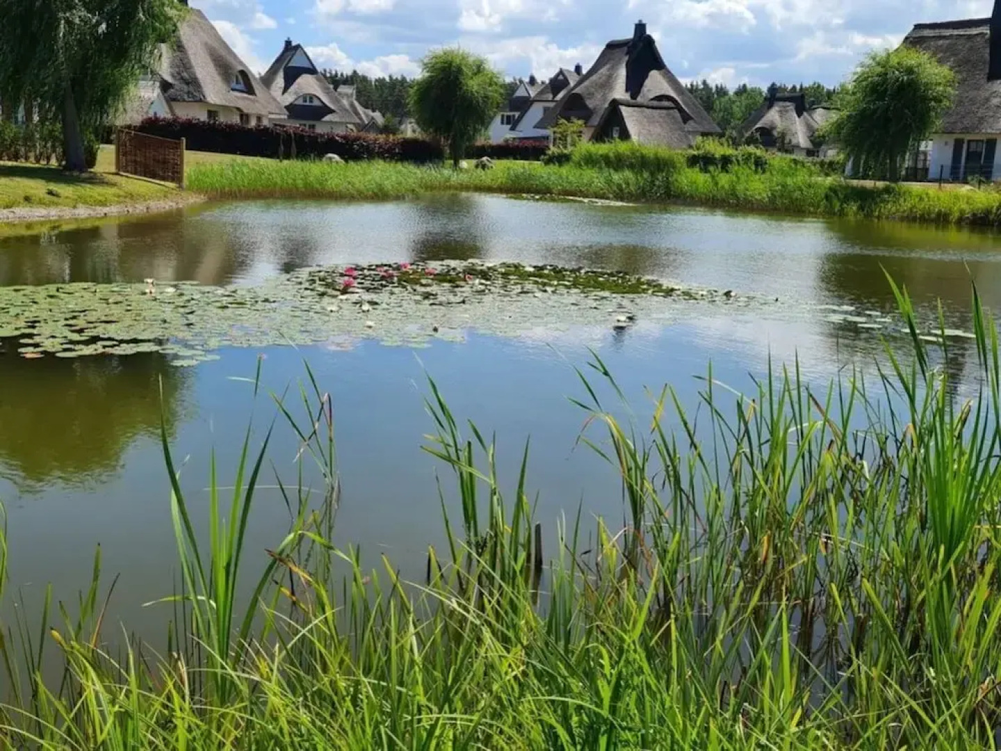 Seeschwalbe Modern Retreat