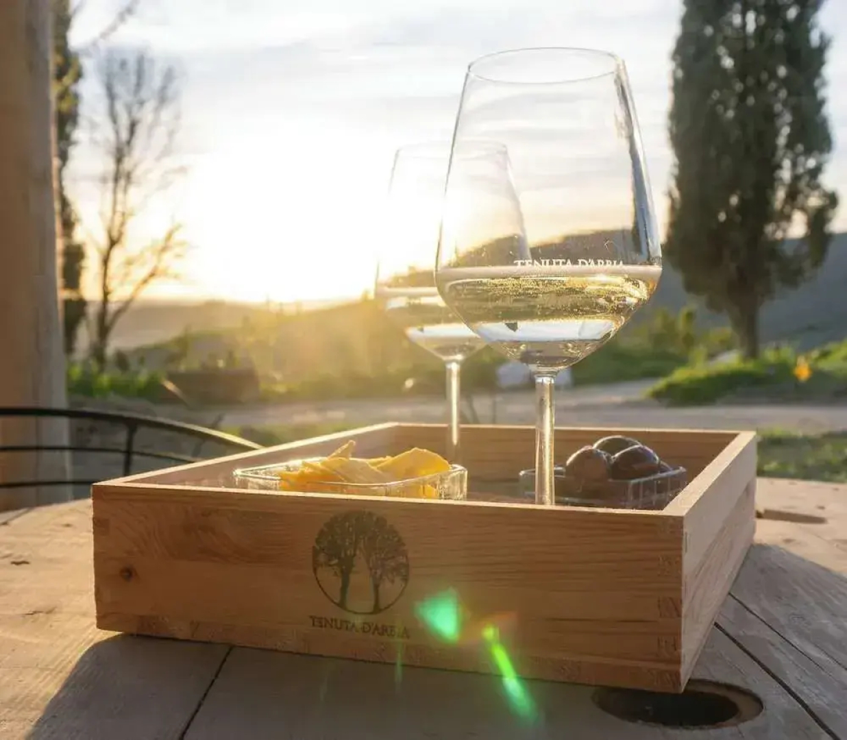Tenuta d'Arbia