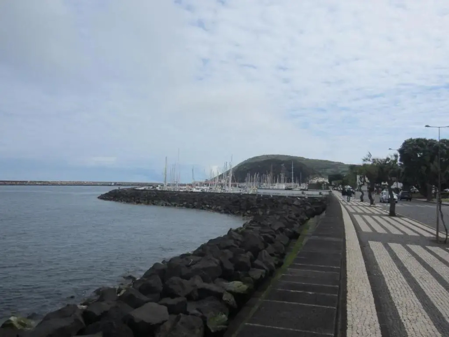 Apartamento Avenida - AL 1798