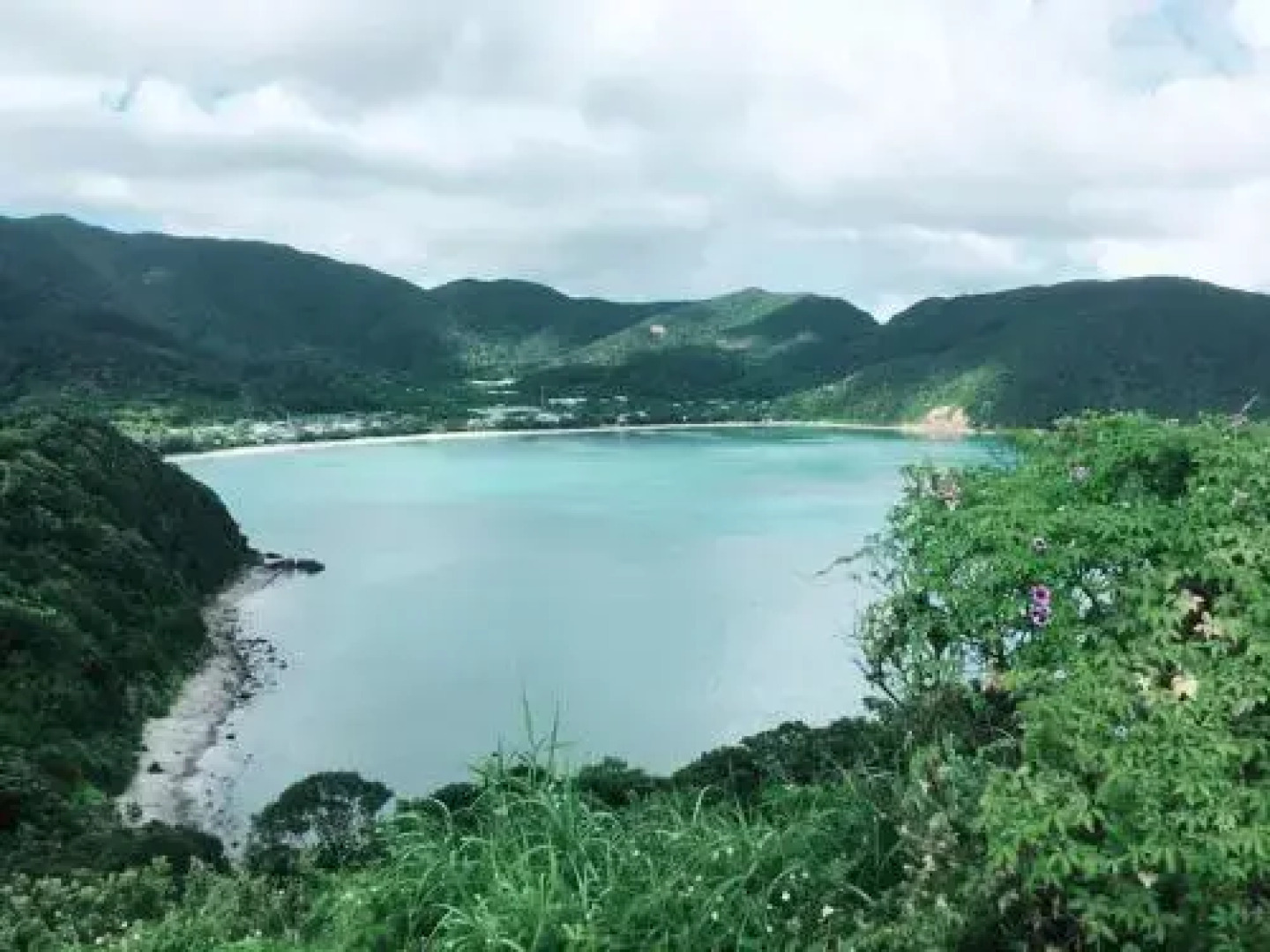 Sakai Guest House AMAMI（堺ゲストハウス奄美）