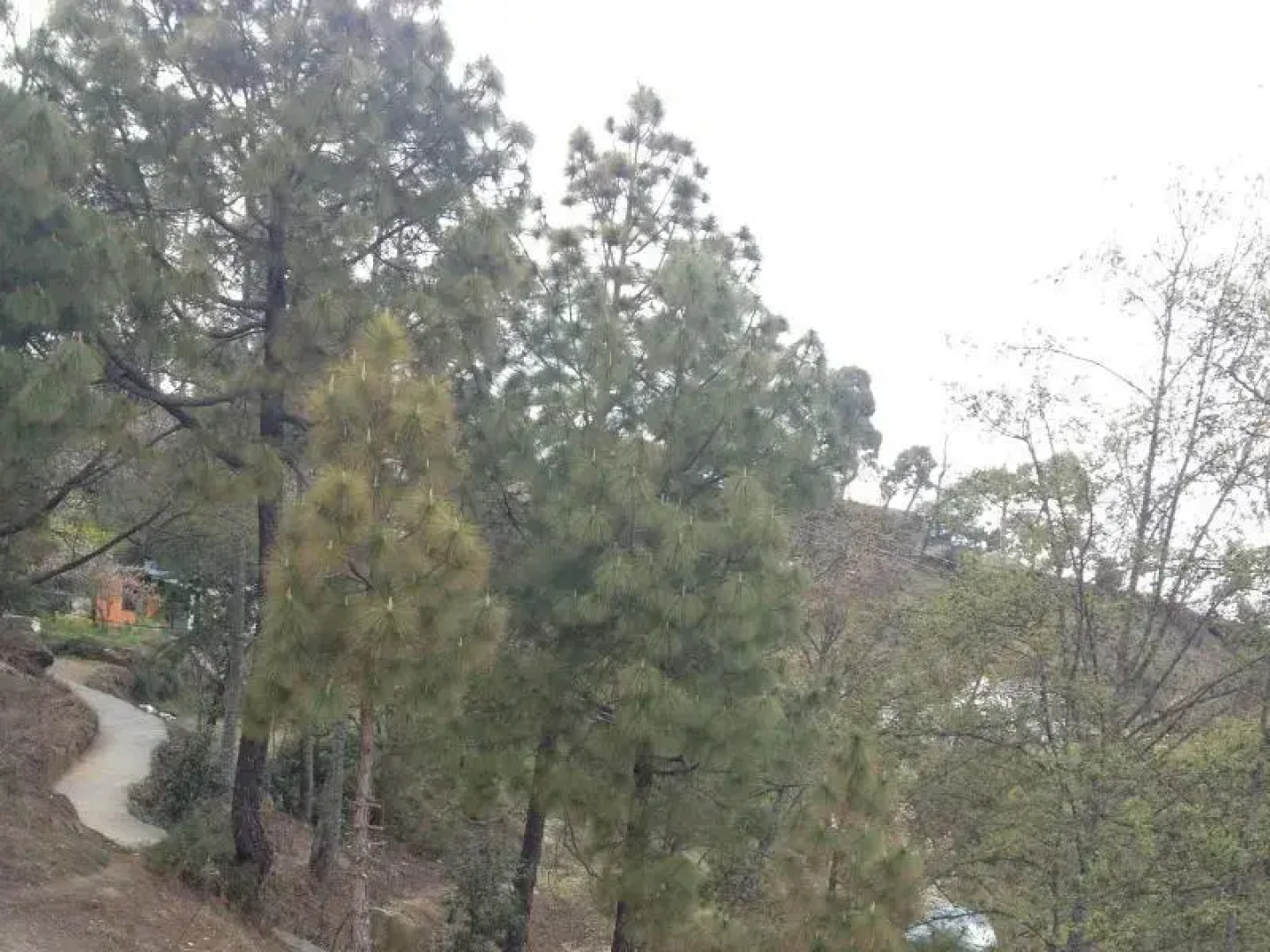 Kasar Rainbow Yoga Retreat