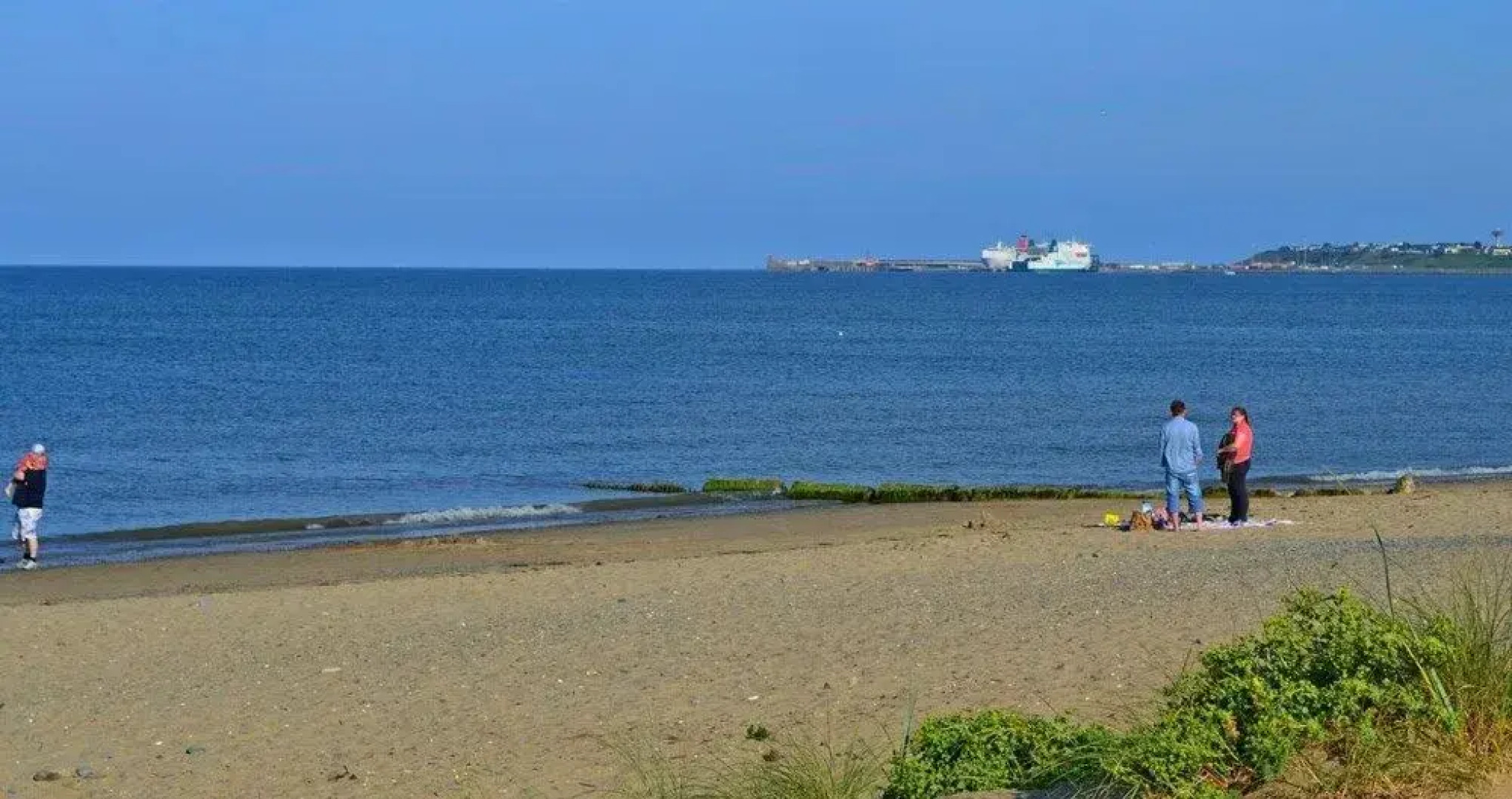 Old Orchard Lodge B&B