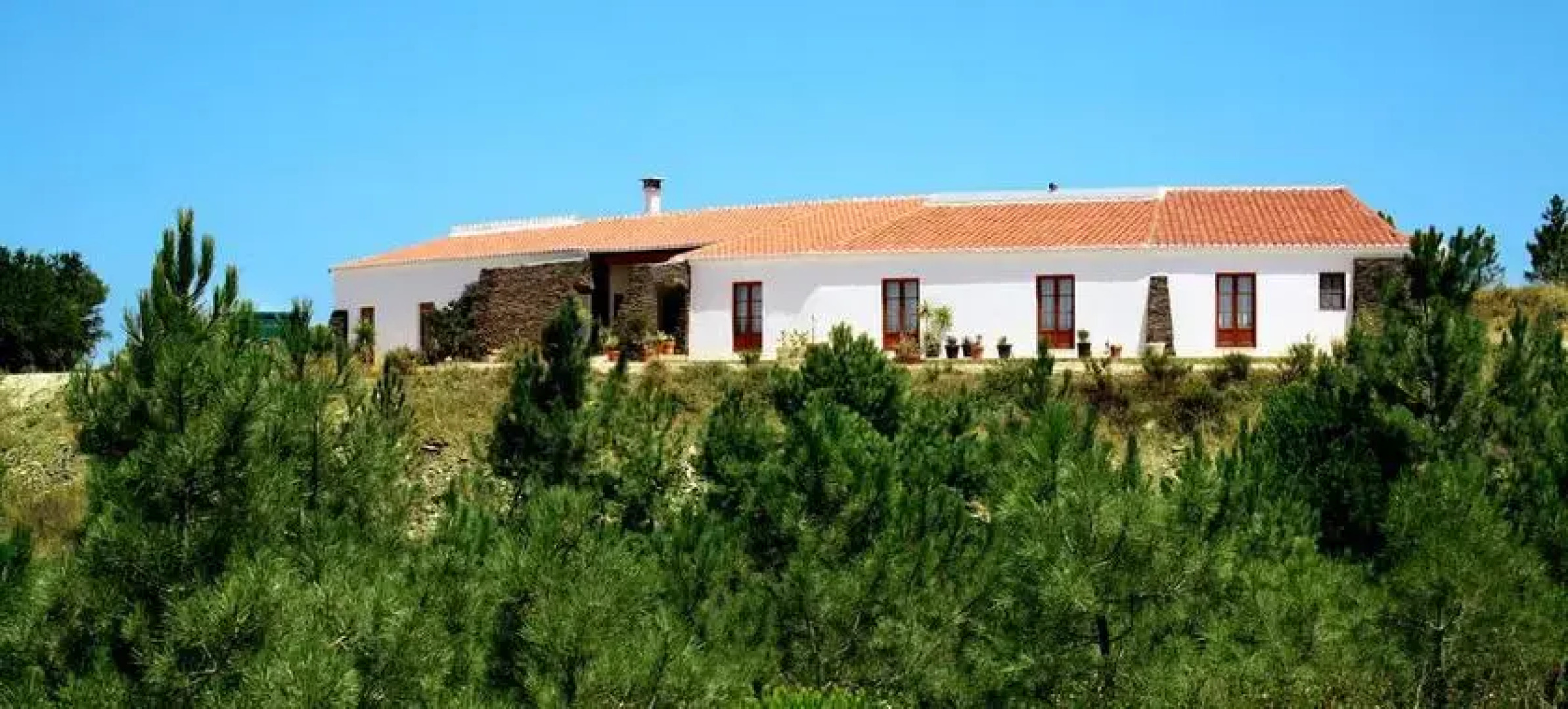 Vale Figueiras Surf Camp & Resort