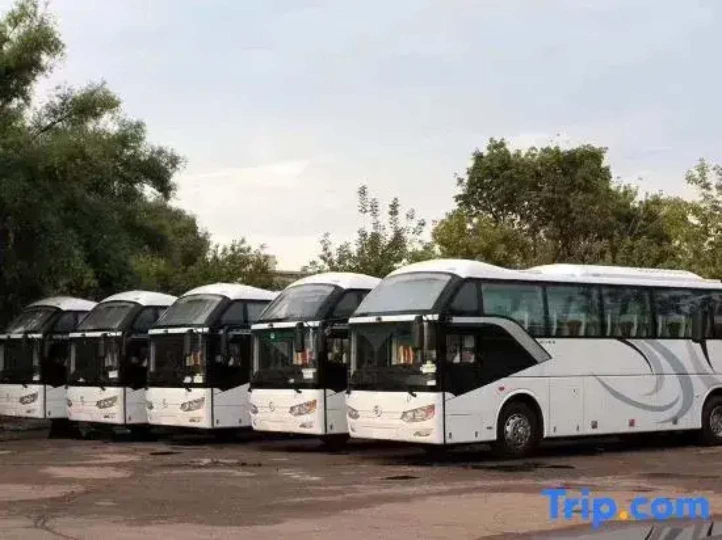 Xuanyu International Hotel