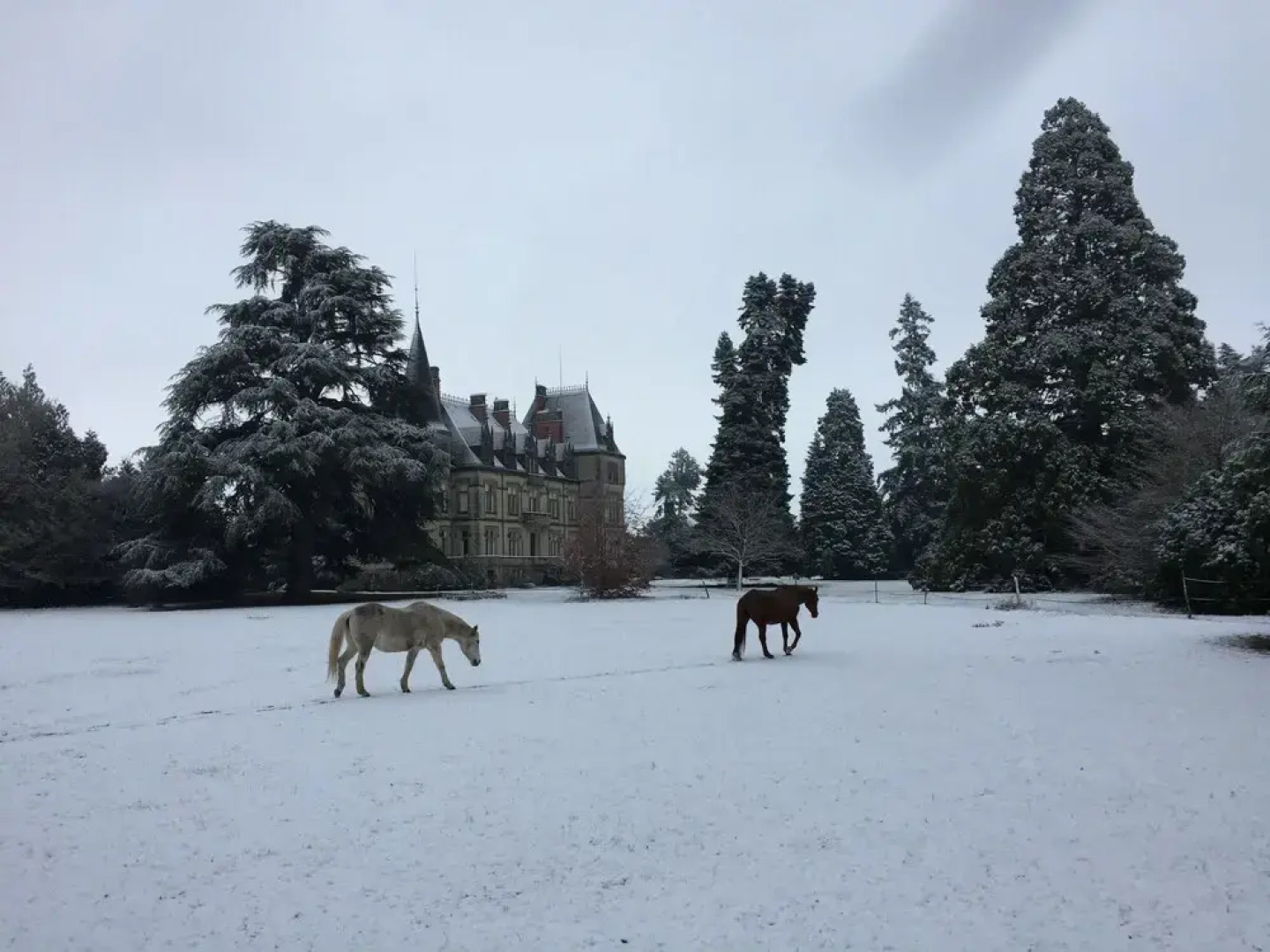 Château de Boisrenault
