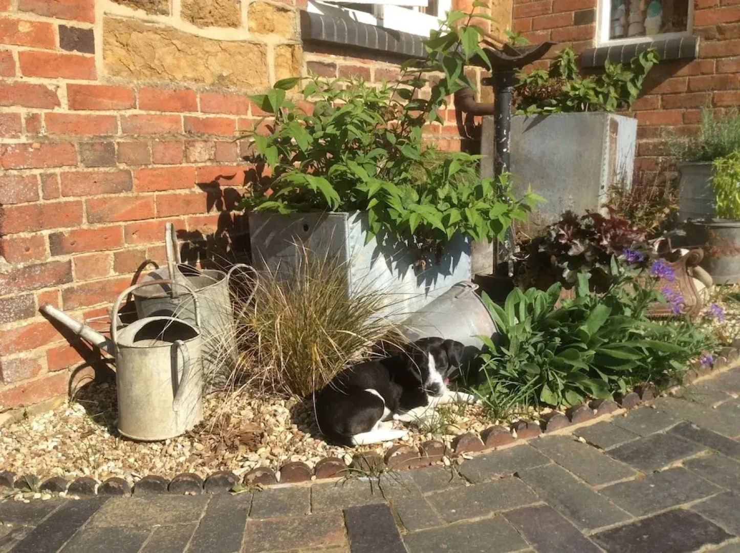 The Rear of the Plough