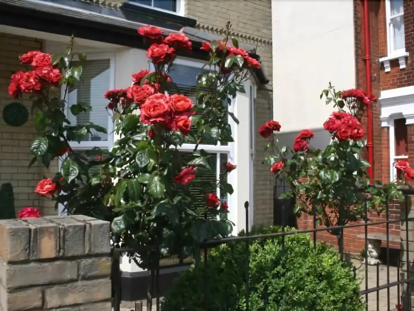 Cranmoor House - B&B