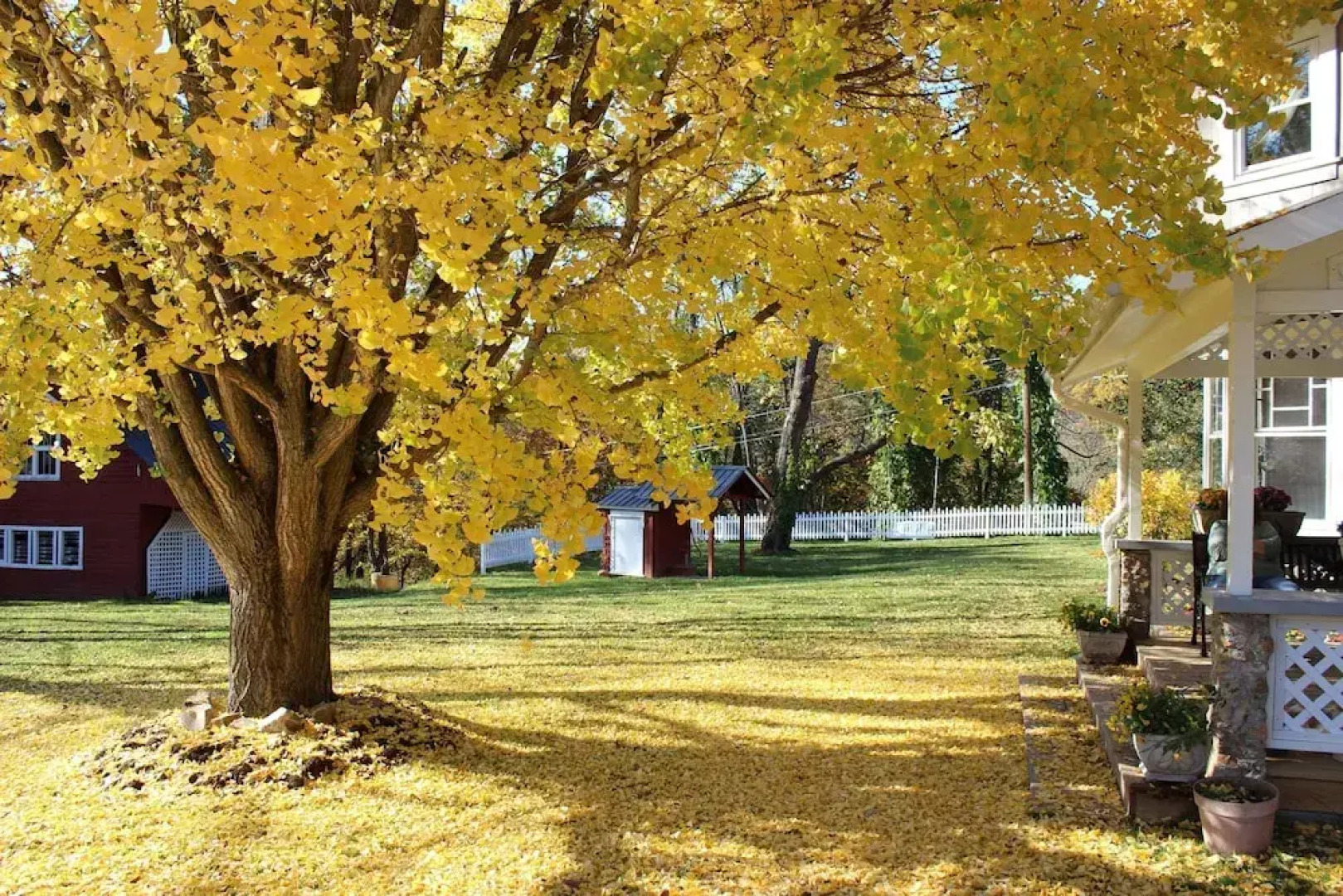 Millsap-baker Estate