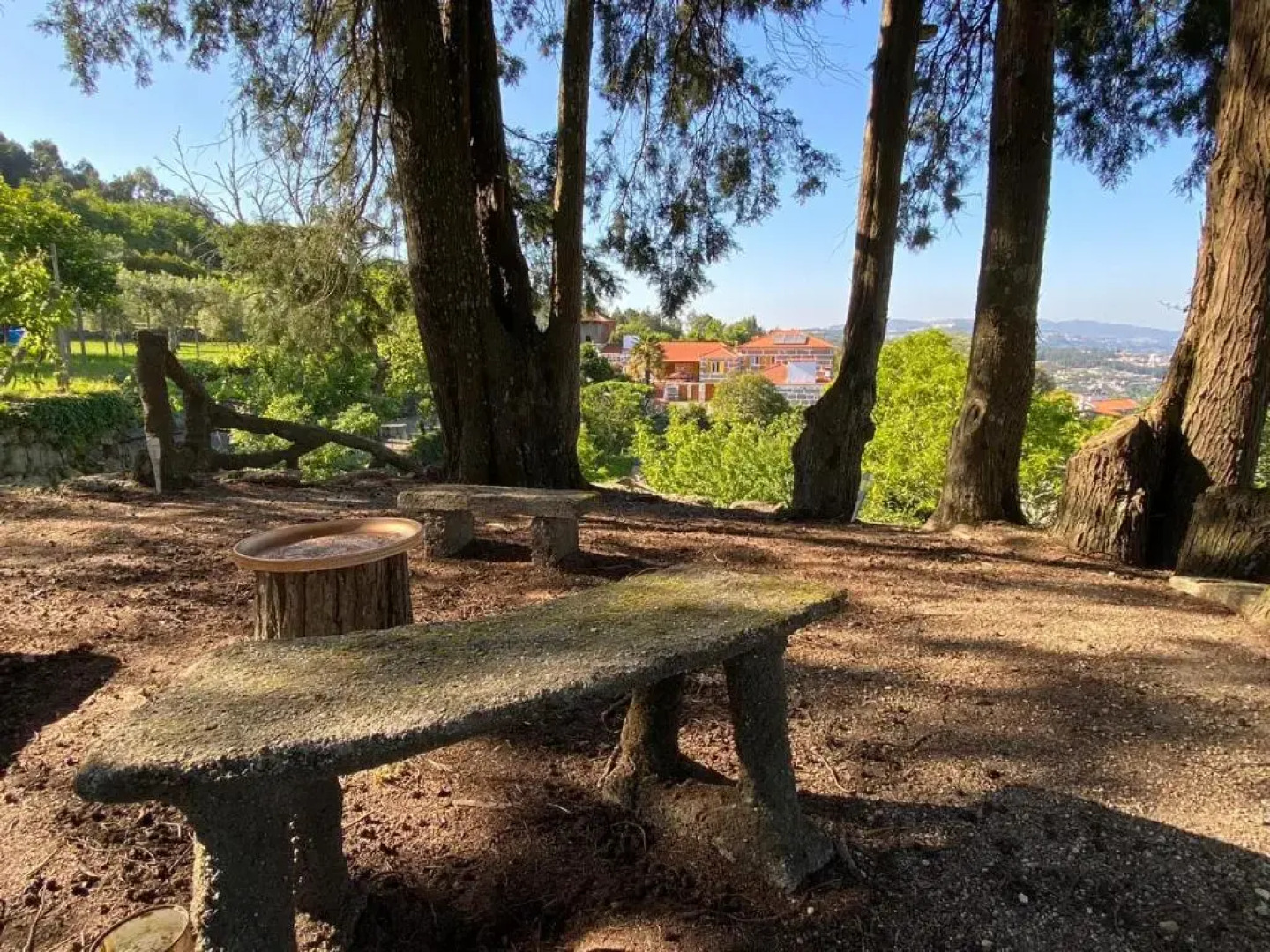 Family Suite - Quinta do Mirante