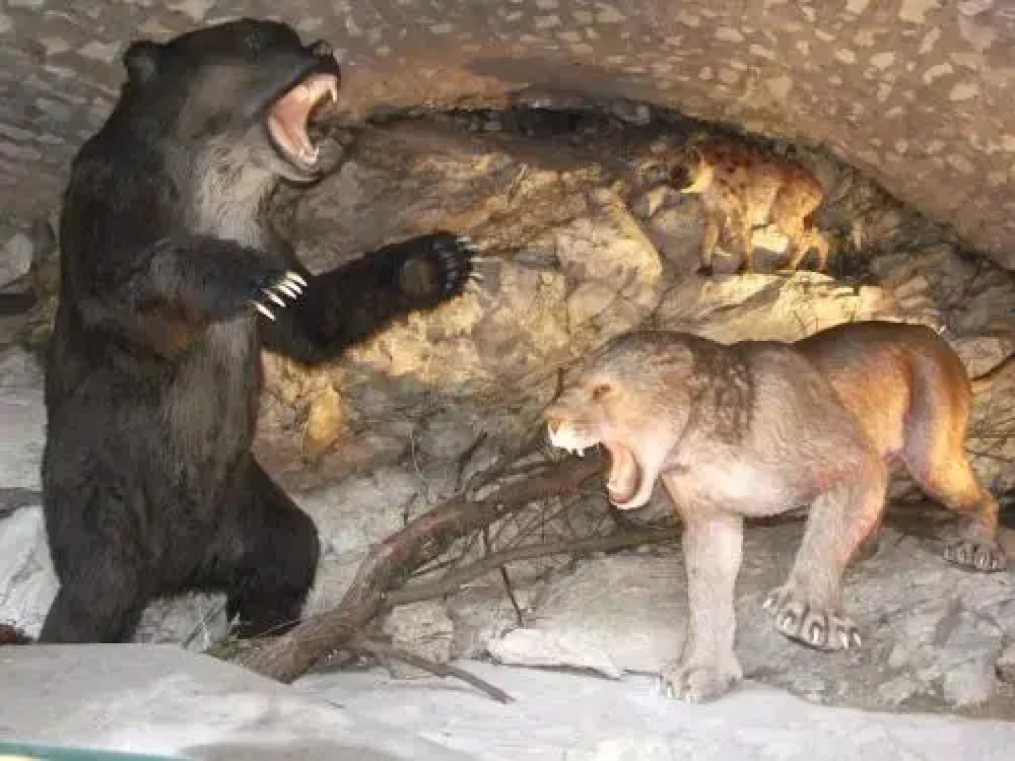 Pokoje gościnne nad zalewem w Starej Morawie