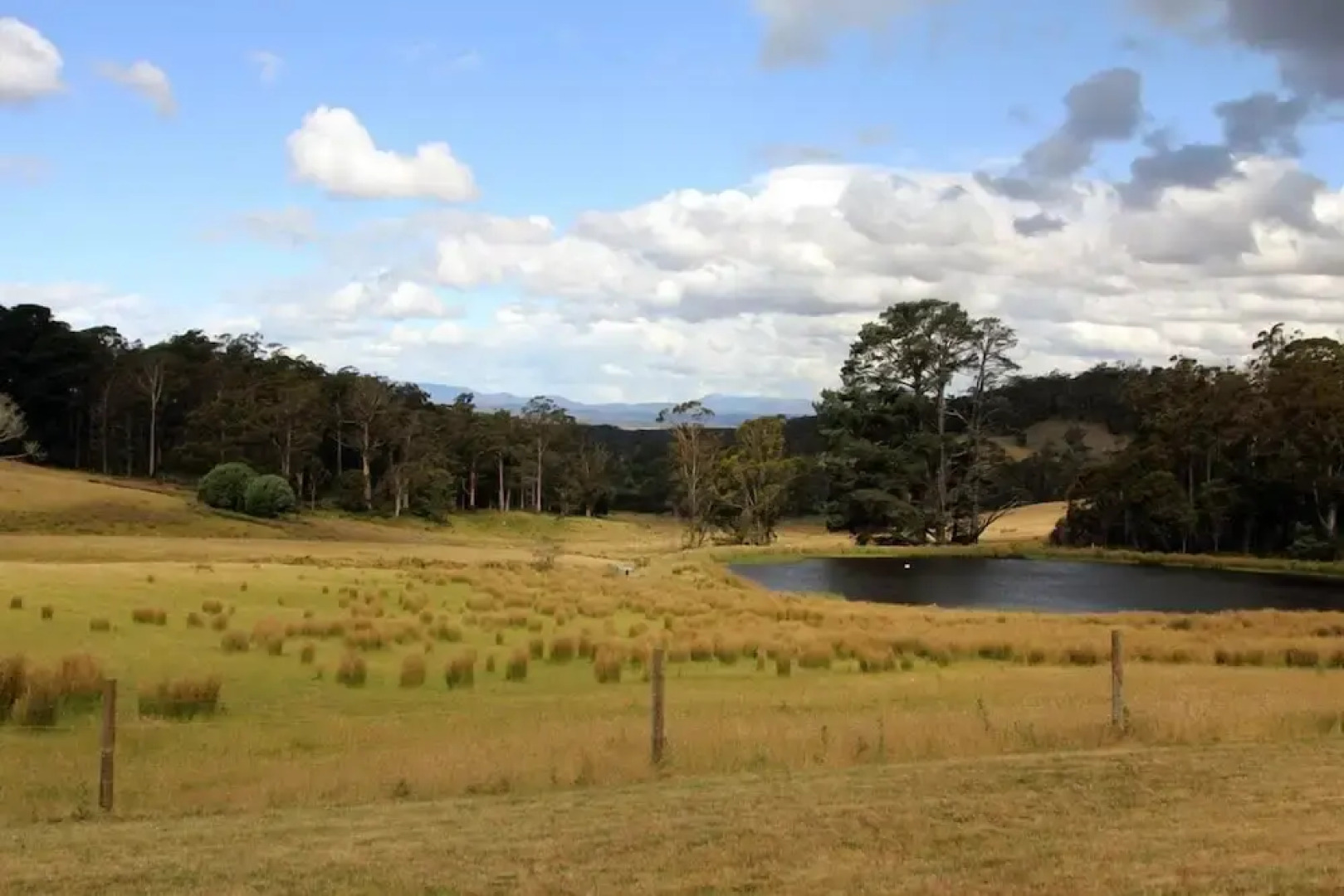 Wines for Joanie Cottage