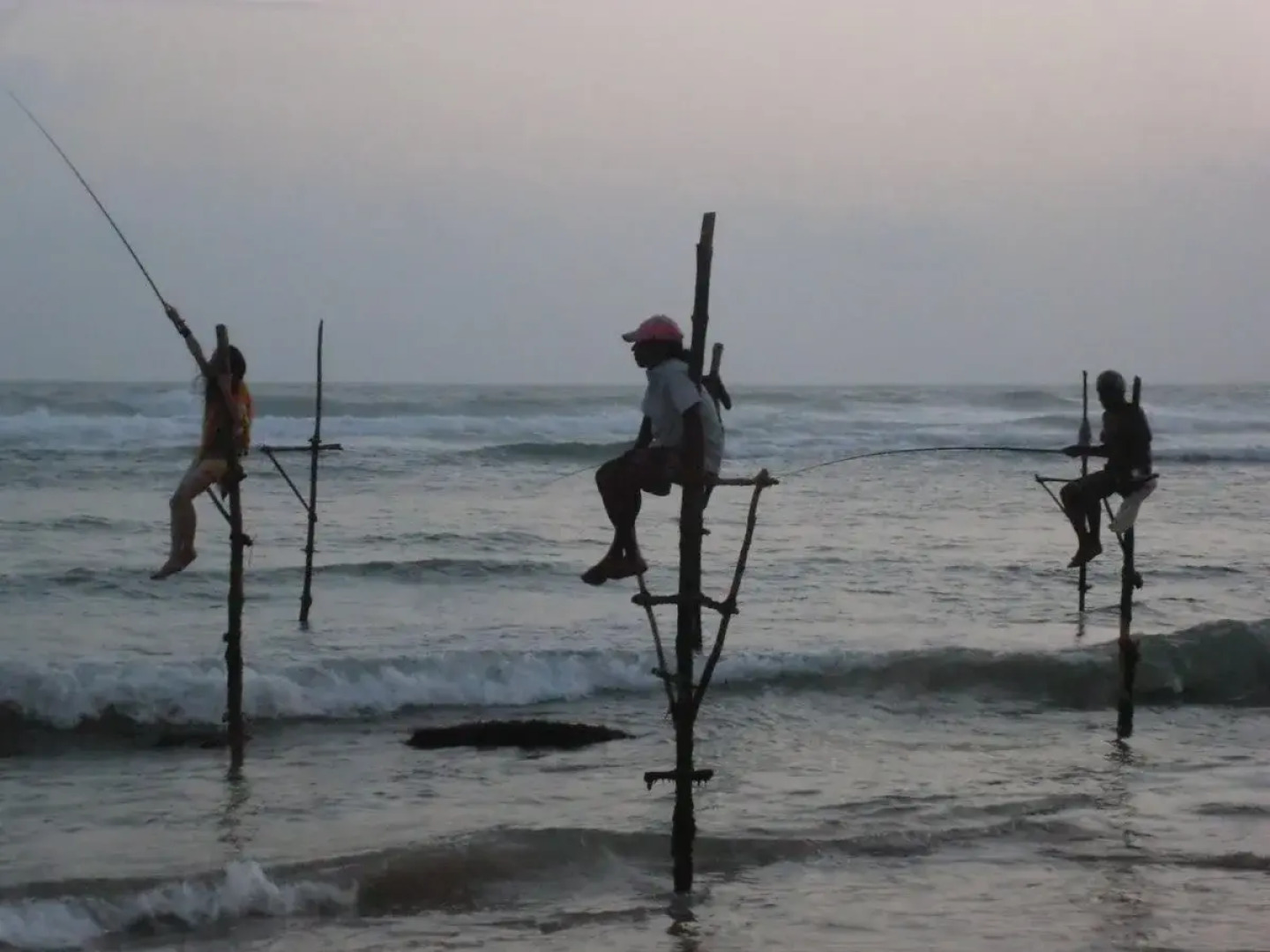 Peacock Wings Guest House