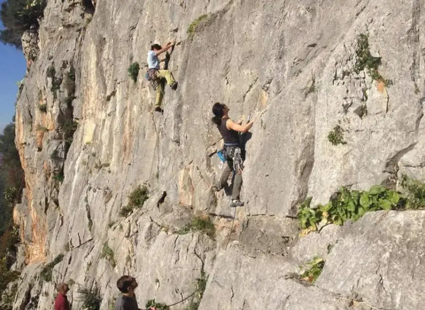 Norma House on the Rocks