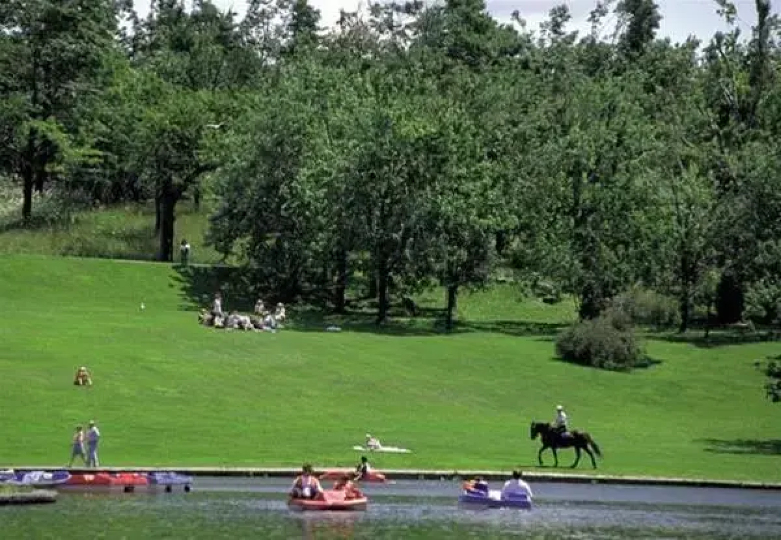 Hotel Plateau Royale