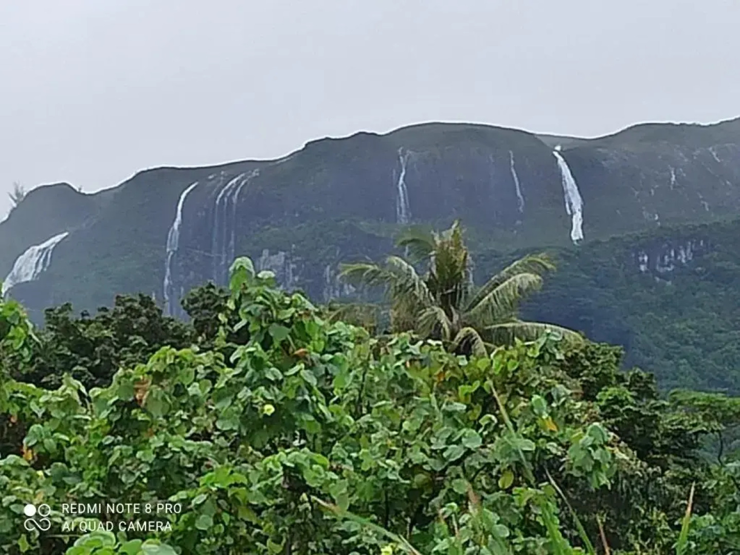 Guest House La Maison Du Voyage