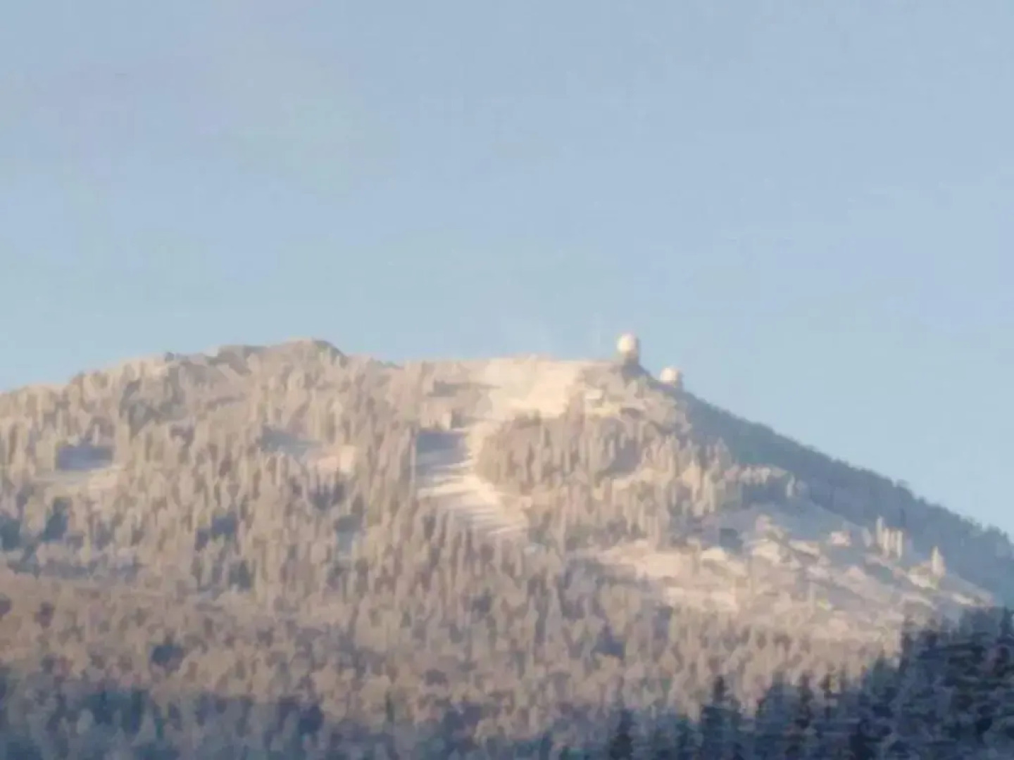 Magic House Under Arber