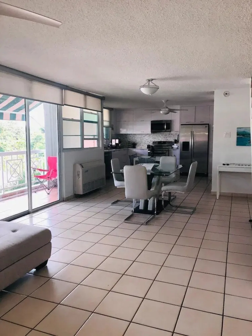 Suburb Pethouse Apartment