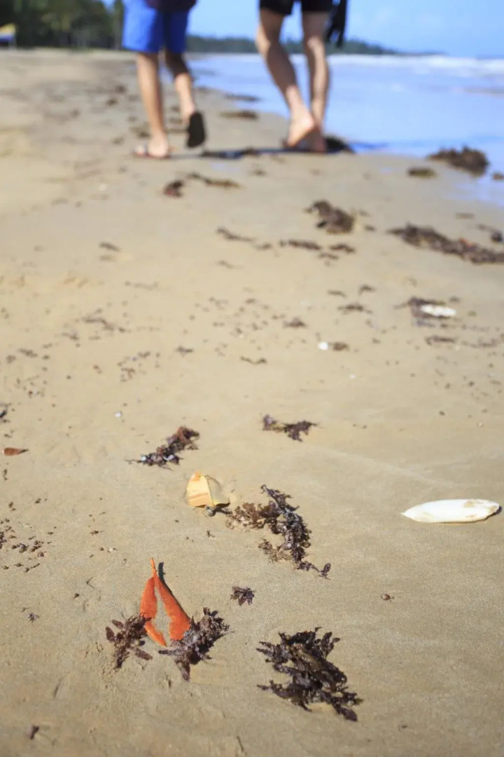 Scotty's Beach House