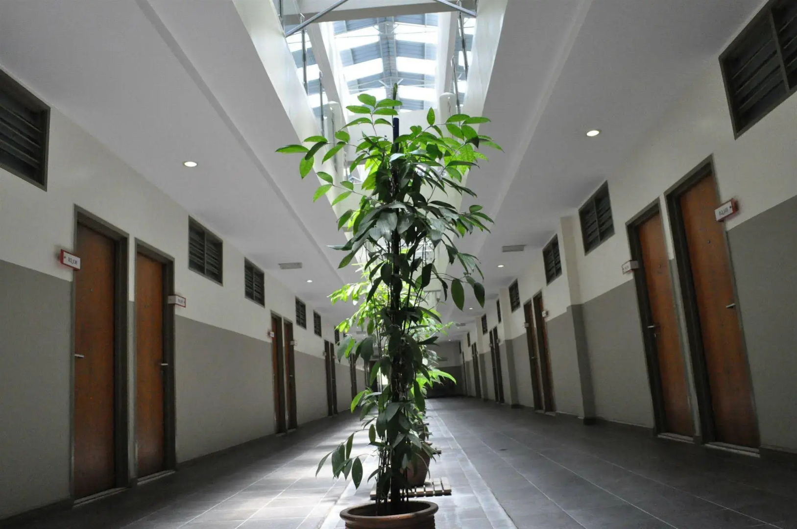 EQ Ferringhi Hotel