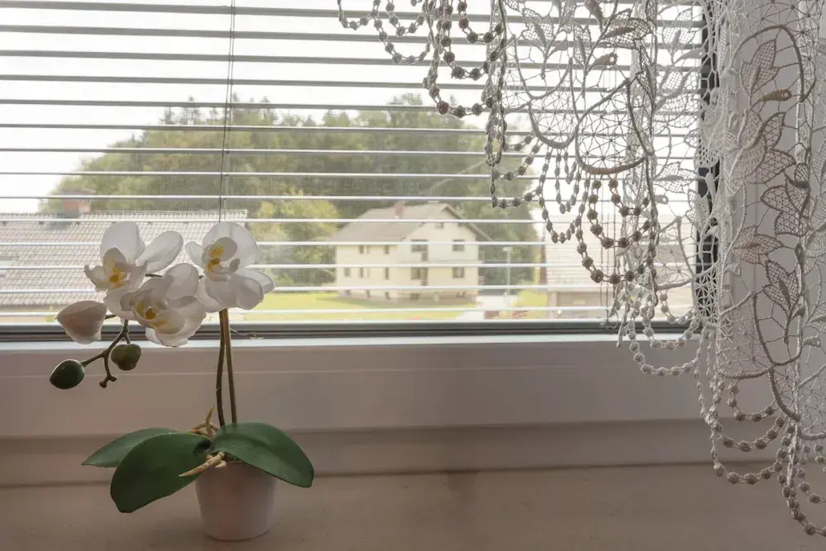 Rooms & Apartments Jana