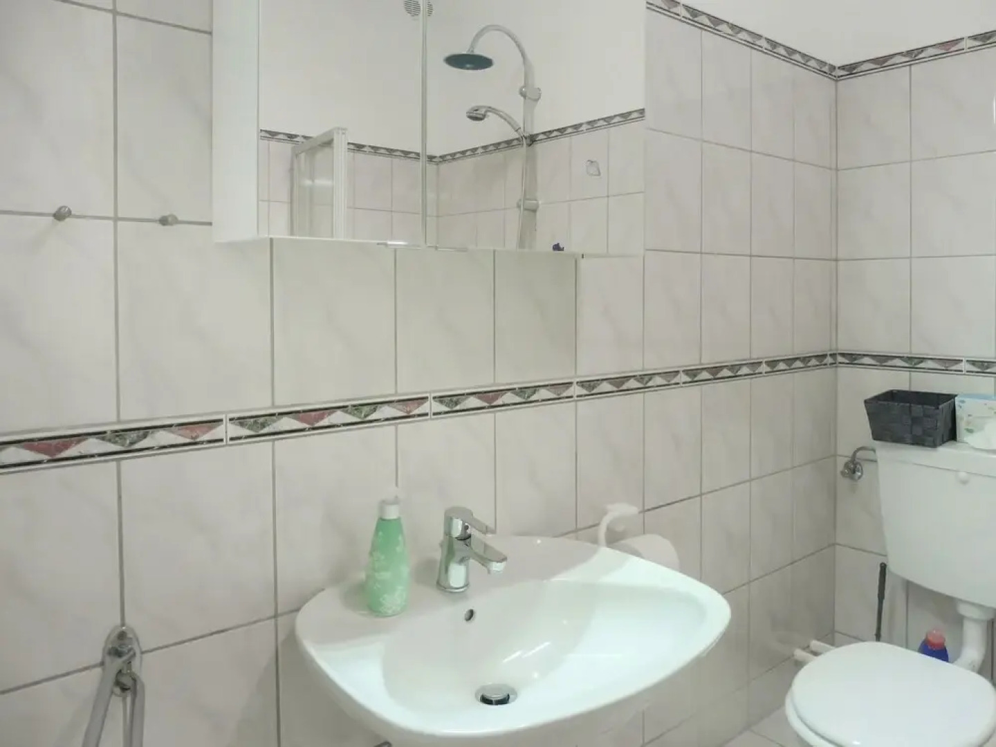 Seeschwalbe Warwerort