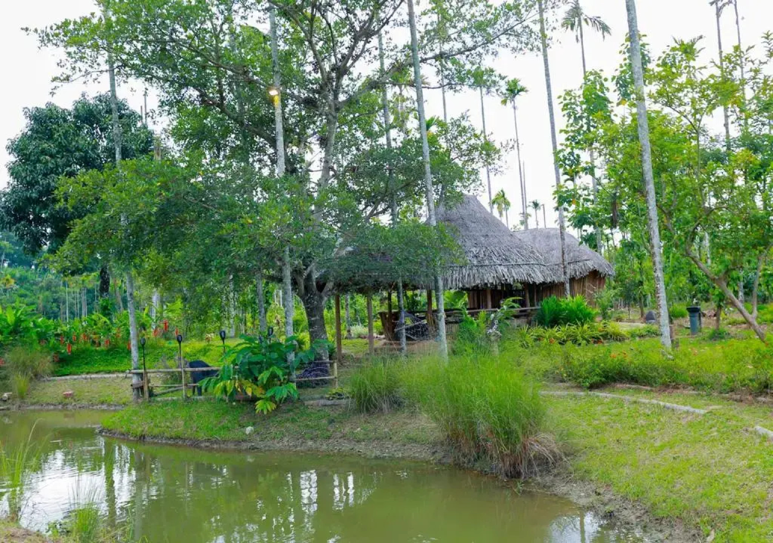 OYO Premium Hill Stays Kolagappara