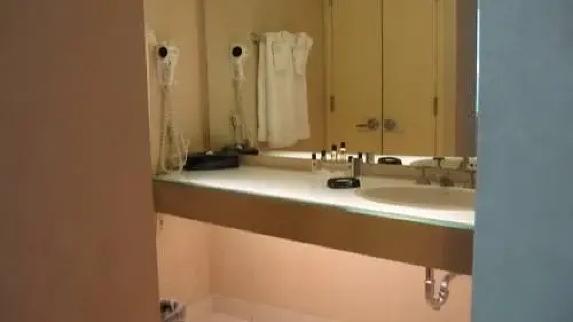 Millennium Hotel St. Louis