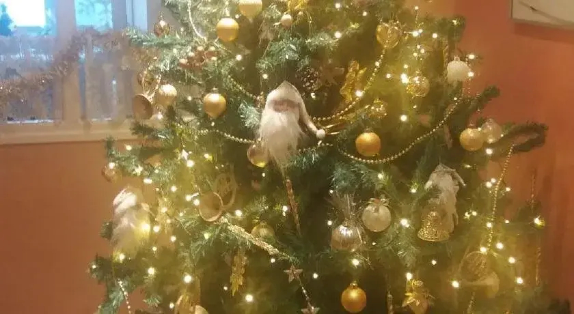 The Falcon