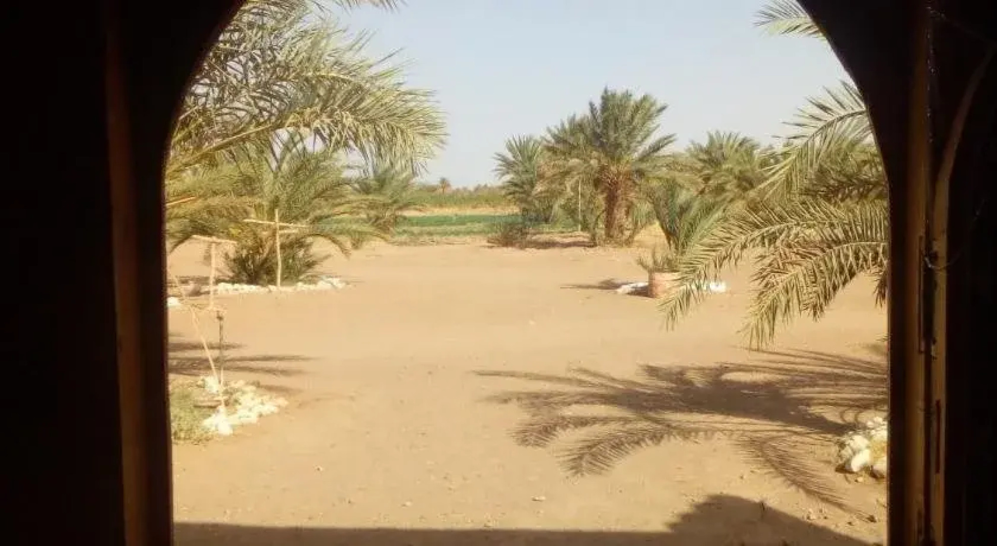 Camping Les Palmeraies