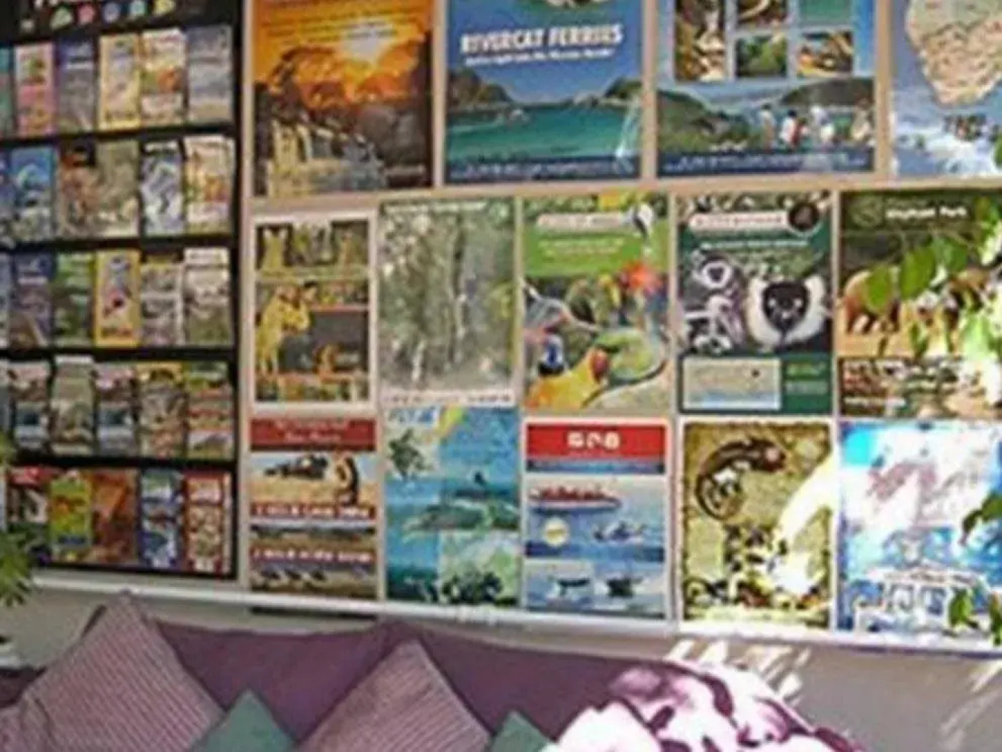 Knysna Backpackers