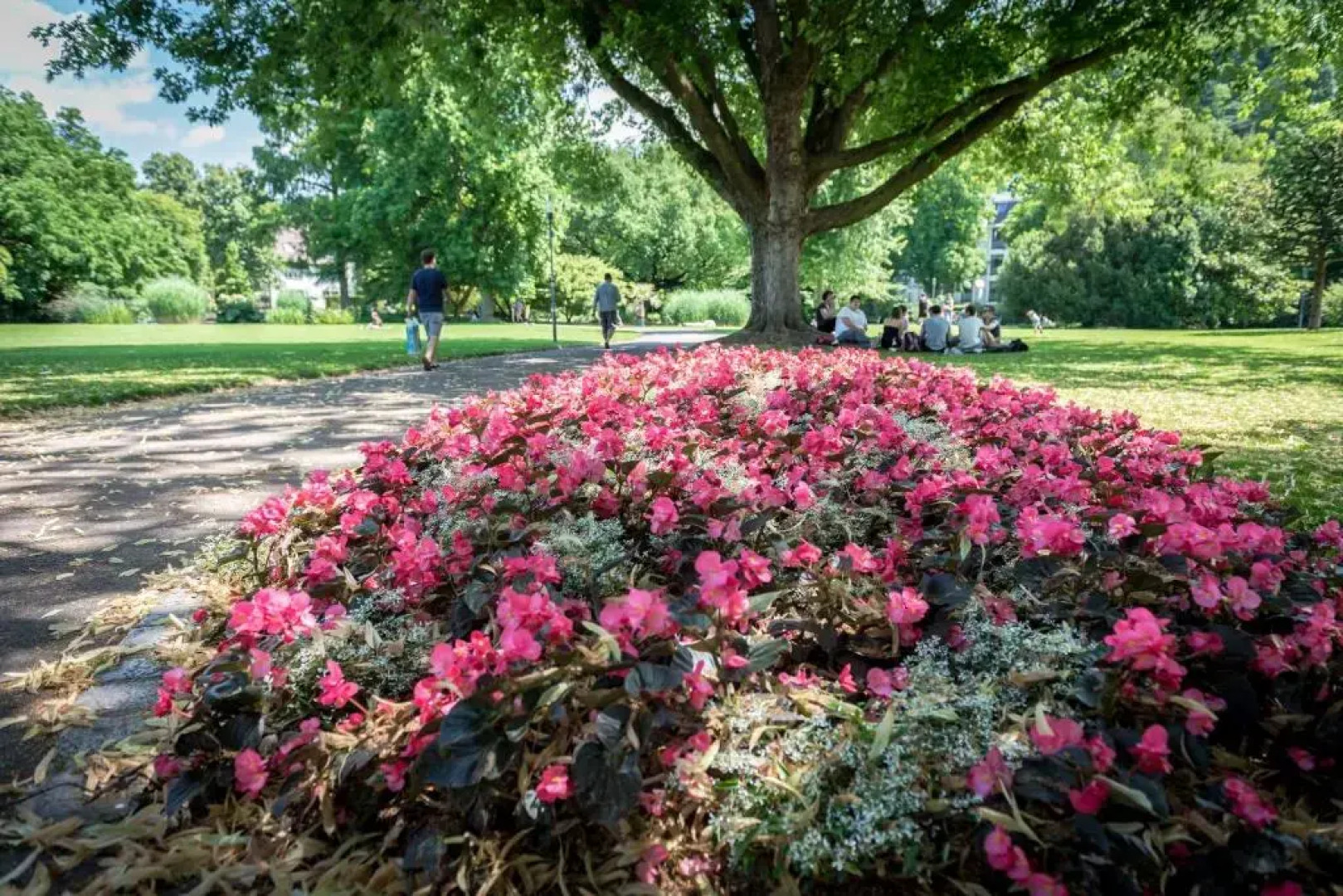 Boutique Apartments am Stadtgarten