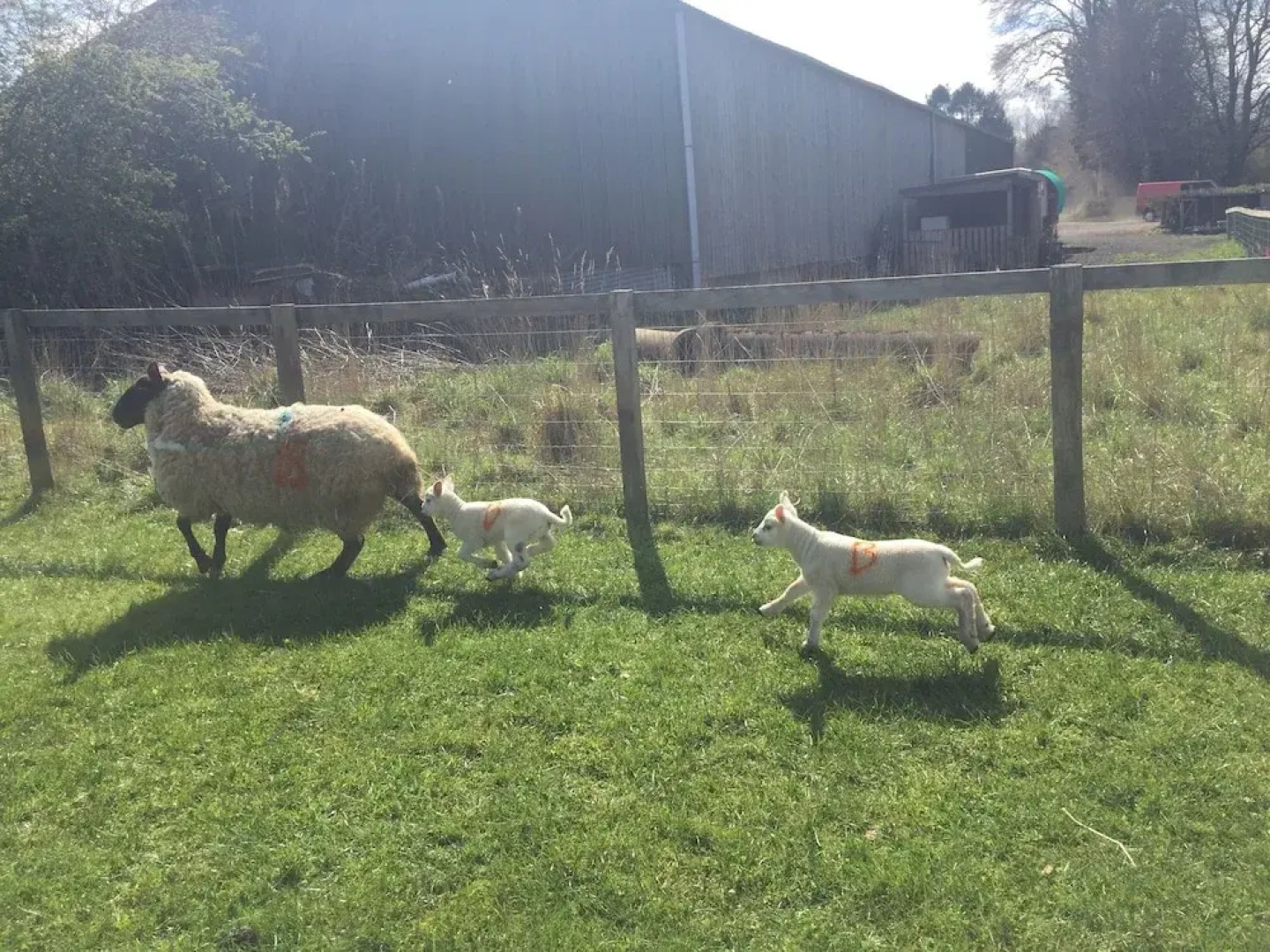 Islay @ Westcote Glamping-Campsite