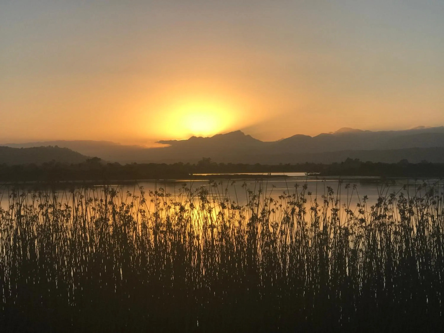 Sedgefield Kingfisher Cottage
