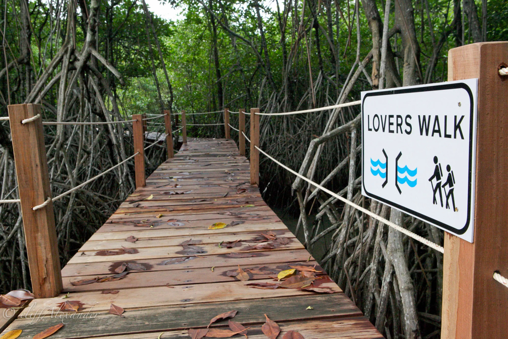 Summer Luxury Beach Resort and Spa