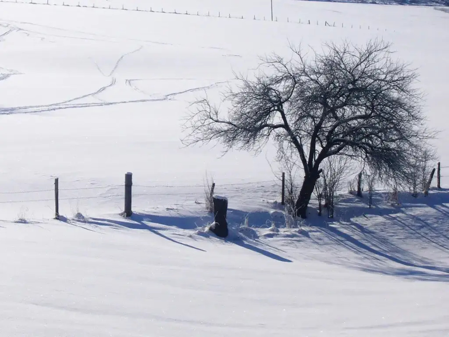 Graceful Holiday Home Near Ski Area in Schmallenberg Germany