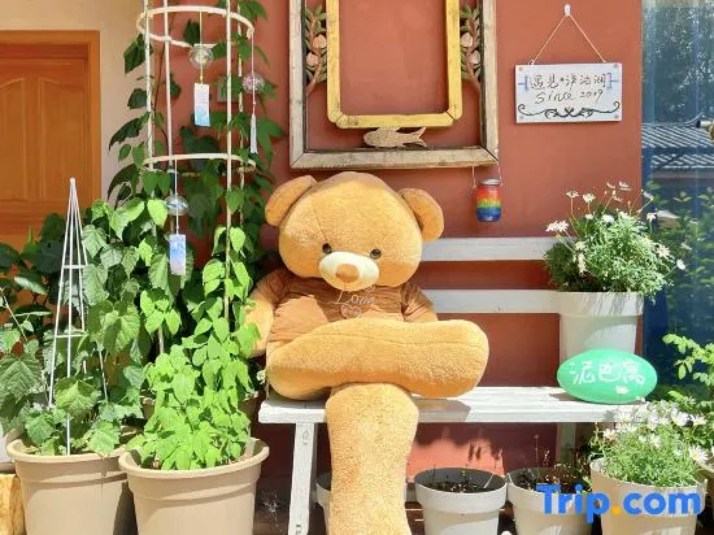 Nibawo Muchen Hostel