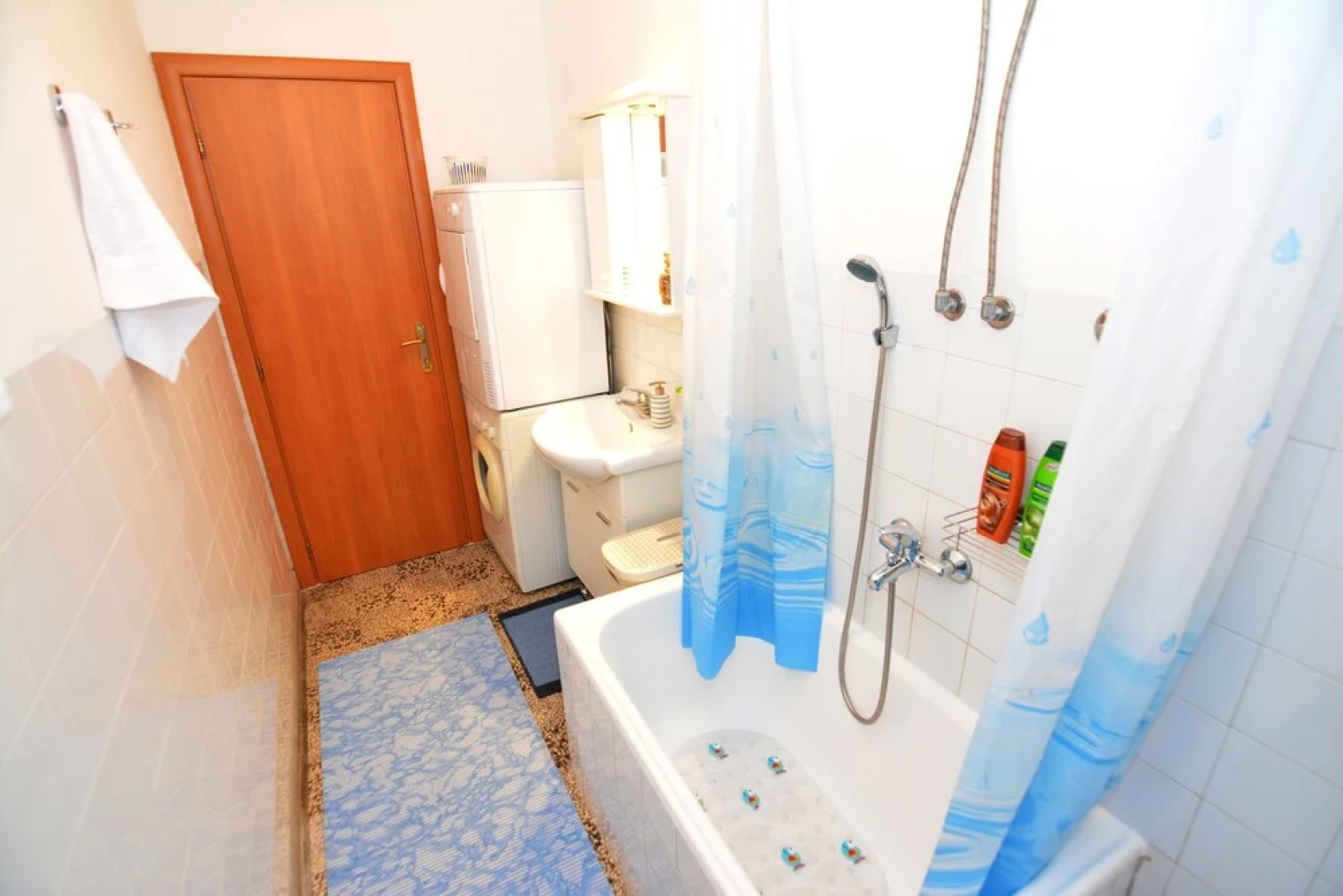 Apartments Todor