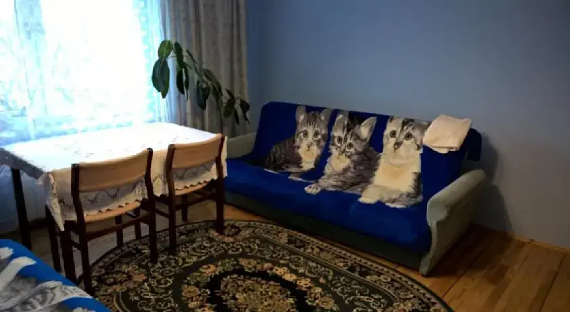 Pokoje Gościnne Szuber