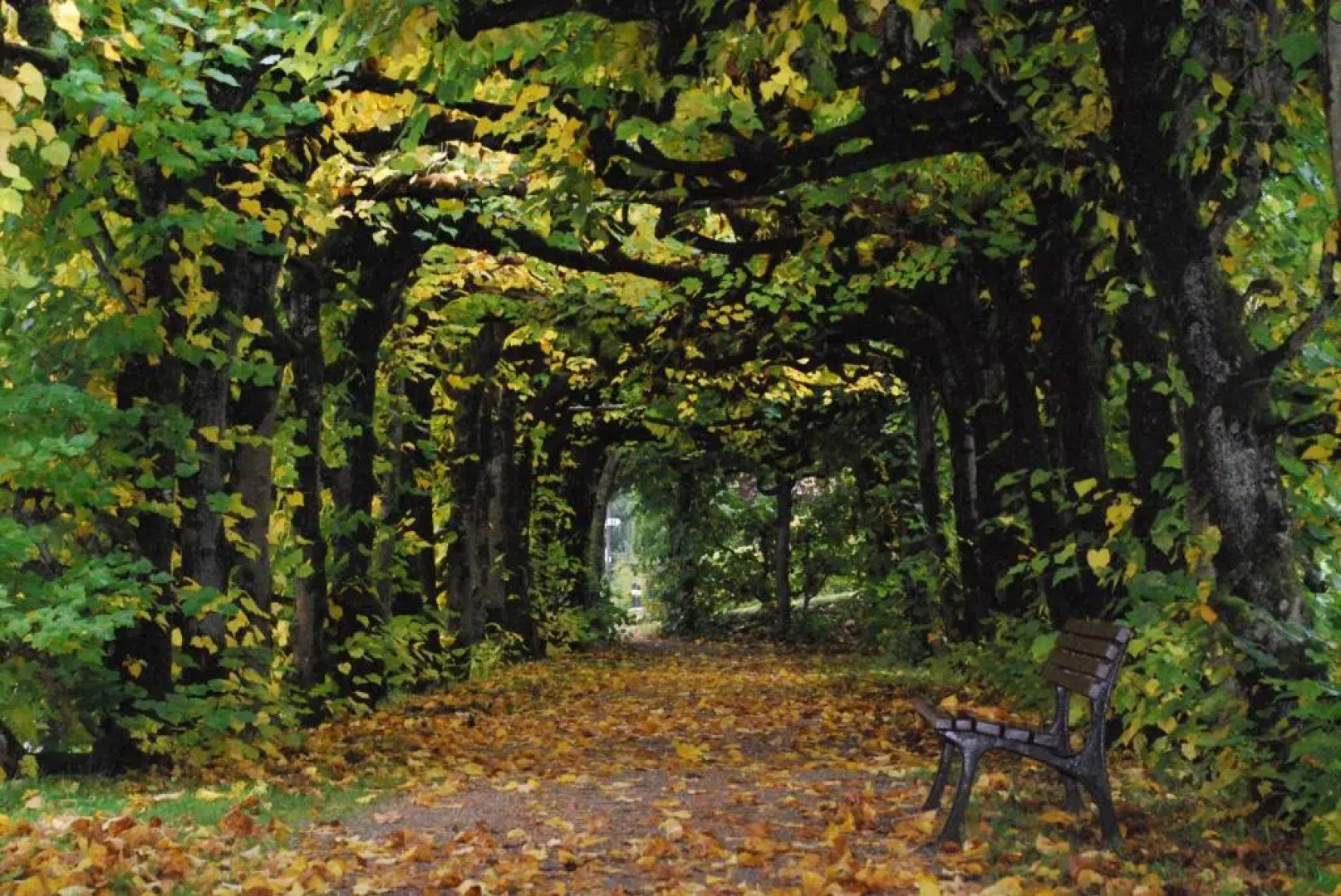 Rhön Hotel Waldcafé St. Georg