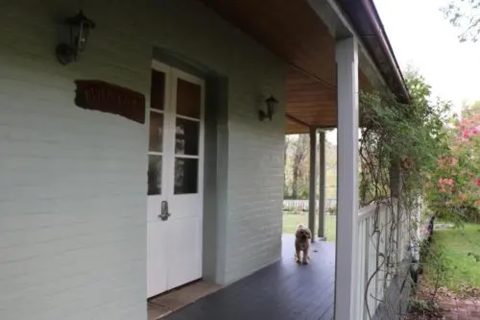 Serendipity on Allyn